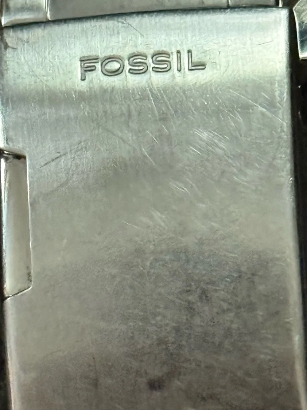 Fossil stainless steel